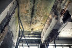 Mold Odor Removal Services in Dawson, TX